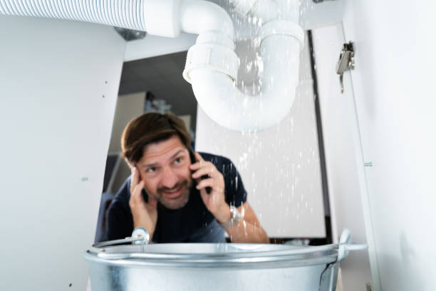 Best Local Plumber Services  in Wiggins, CO